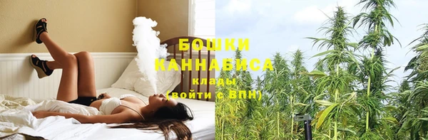бошки Нефтегорск